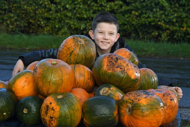 George Owen, nine, on his pumpkin patch in Whitestake, Preston, where he had eight stolen on Monday afternoon. He wants the person/s responsible to come back and pay for them