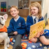 Buddy the dog is helping pupils at St Mary's RC Primary School in Langho with their mental health and well being