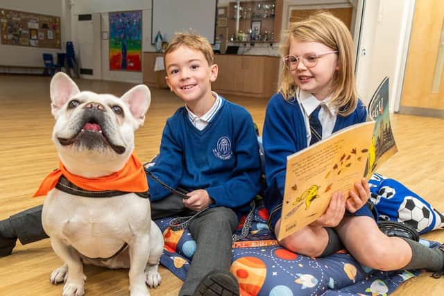 Buddy the dog is helping pupils at St Mary's RC Primary School in Langho with their mental health and well being
