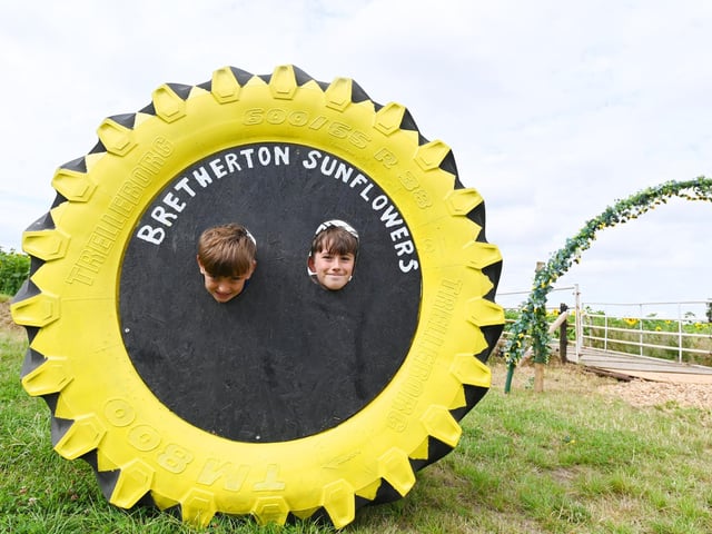 Bretherton Sunflowers fields are open for 2026. Visitors can walk amongst the bright yellow flowers, spot different coloured sunflowers and take them home at the pick-your-own attraction near Leyland.