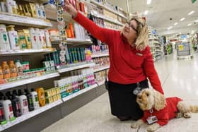 Dog owners in the north west are being called to nominate their pets as Wilko animal ambassadors. Paw Manager cockapoo Jazz (pictured) being shown the ropes