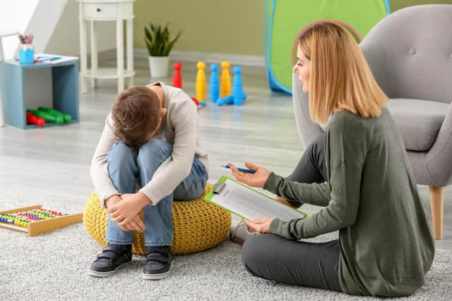 Lancashire Police say most children who commit domestic abuse see violence as a legitimate way to express their emotions.