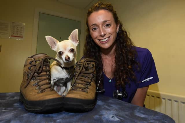 Vet Robyn Lowe, at Vets4Pets, Wigan, has completed the Three Peaks challenge to raise funds and awareness of veterinary mental health charity Vet Life, pictured with pet dog Daisy, who climbed Snowdon with her
