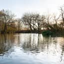 The Serpentine Lake in Moor Park could be about to get bigger