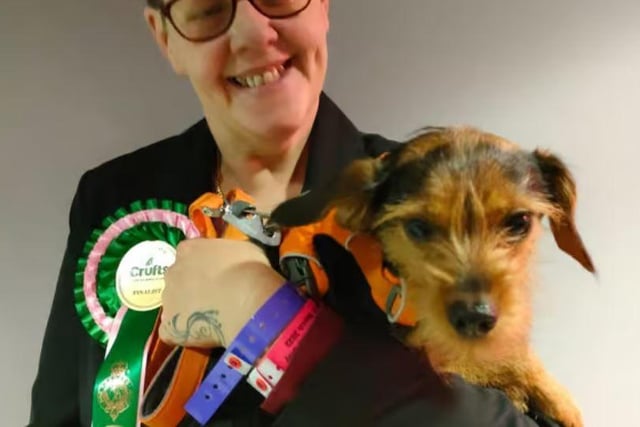 Rescue dog Chewie from Leyland who saved owner Ray's life by performing CPR on him after he went into respiratory arrest was awarded a rosette at Crufts 2022. After finding Ray who suffers from Multiple Sclerosis slumped in his chair Chewie jumped on his chest which alerted Ray's partner Loretta who now calls Chewie their guardian angel dog. Well done Chewie!
