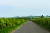 Hedgerows