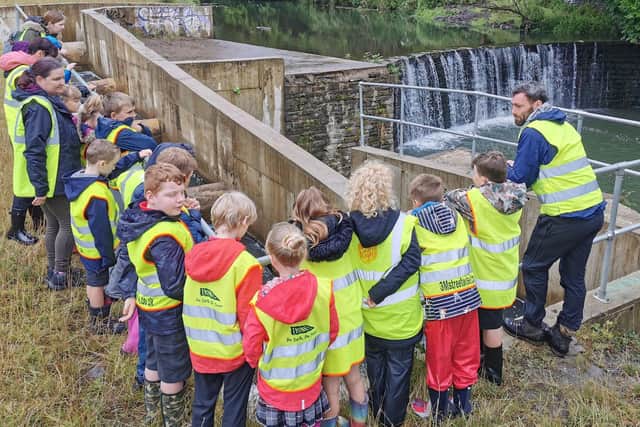 Pupils from St Peter and St Paul's Primary in Rishton examine the fish pass in Hyndburn