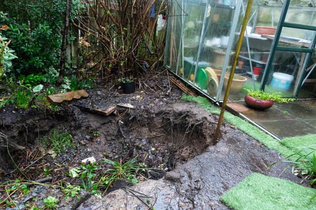 Plants and shrubs had stood where the hole appeared - and have now vanished from sight