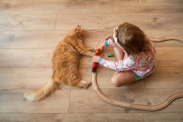 The cats were part of the family during magical times when the kids were at primary school. Photo: Adobe