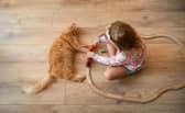 The cats were part of the family during magical times when the kids were at primary school. Photo: Adobe