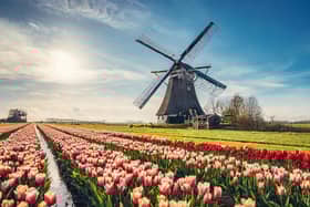 Much of my time has been taken up learning Dutch in preparation for our next holiday. Photo: Adobe