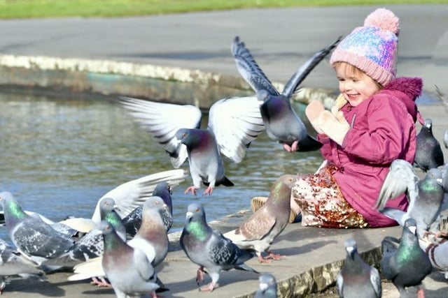 Stanley Park is the town's primary park and covers an area of approximately 104 hectares. The park was designed to include significant sporting provisions, along with formal gardens, a boating lake and woodland area.