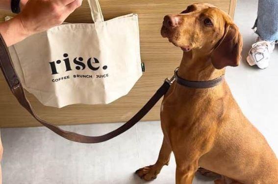 In June Rise opened its new doors at 78A Fishergate, close to Preston Railway Station. 
The new premises are a sister site to add to the Miller Arcade premises.
The new store is dog friendly and even sells puppuccinos for your furry friend to enjoy while you sip on a cappuccino.