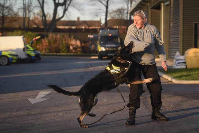 Lancashire Police dogs and handlers at HQ in Blackpool. Sue Byers with Juna during a training exercise.