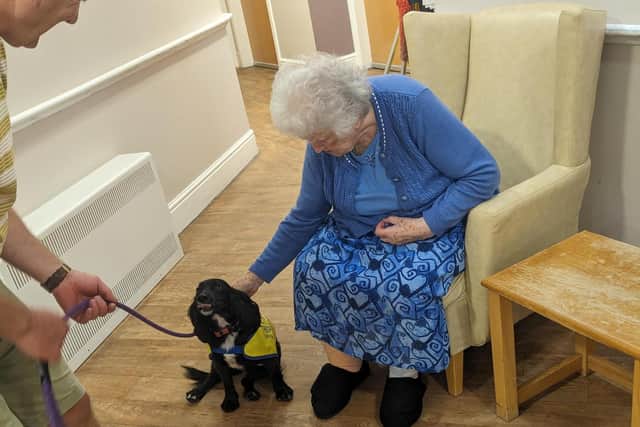 Residents welcome pet therapy dog Connie to Longridge Hall Care Home