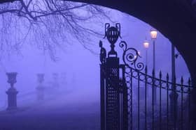 A misty morning on Avenham Park. Photo: Paul Gray