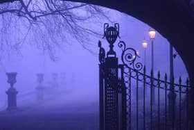 A misty morning on Avenham Park. Photo: Paul Gray