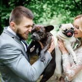 There are many ways to include your dog at your wedding (photo: Adobe)