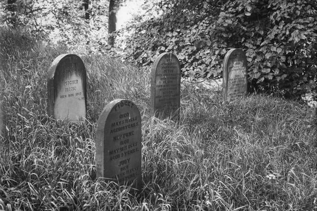 The Faringtons at Worden Hall laid their family pets to rest in a designated area within the grounds of the park. 'Polly Bird', 'May Queen', 'Teddy' and 'Pitcher' were all interned in the 1920s. The headstones were moved to South Ribble Museum in 1985 where they remain today. This image of the Worden Hall's pet cemetary was taken in the 30s or 40s