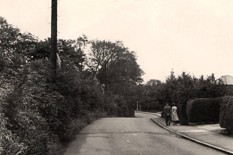 Black Bull Lane, Fulwood, Preston c.1950
Taken from the junction of Black Bull Lane and what is today Conway Drive.
