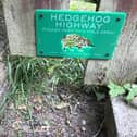 Hedgehog Highway