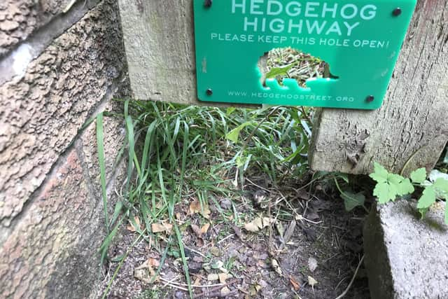 Hedgehog Highway