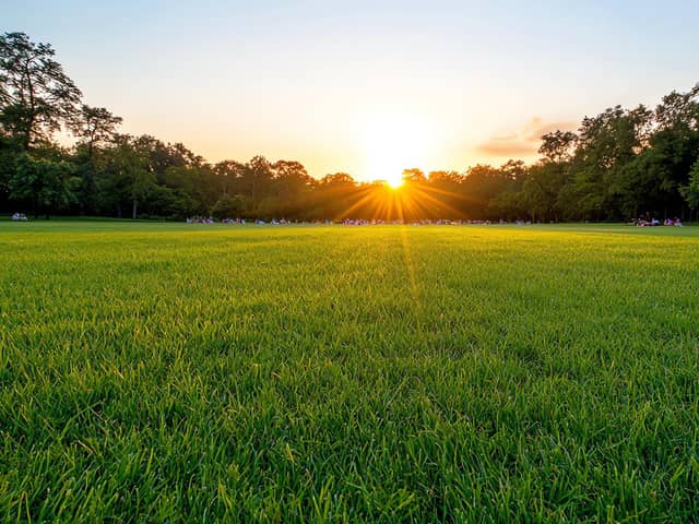 It was worth getting up early for to see the sunrise. Photo: Adobe
