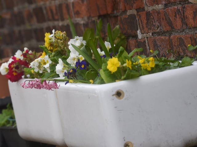A group of residents have created a community garden in their alleyway called Strawberry Gardens