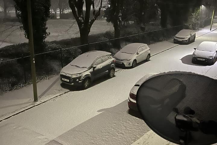 Cars covered in snow