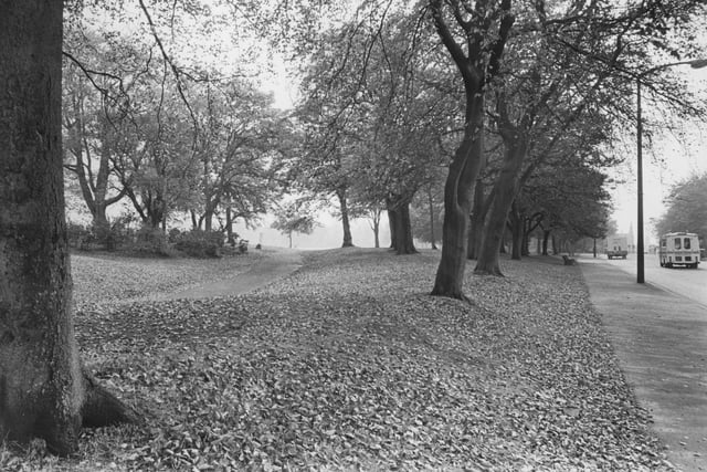 A glimpse of Preston's Moor Park from Blackpool Road. This image was taken in 1986