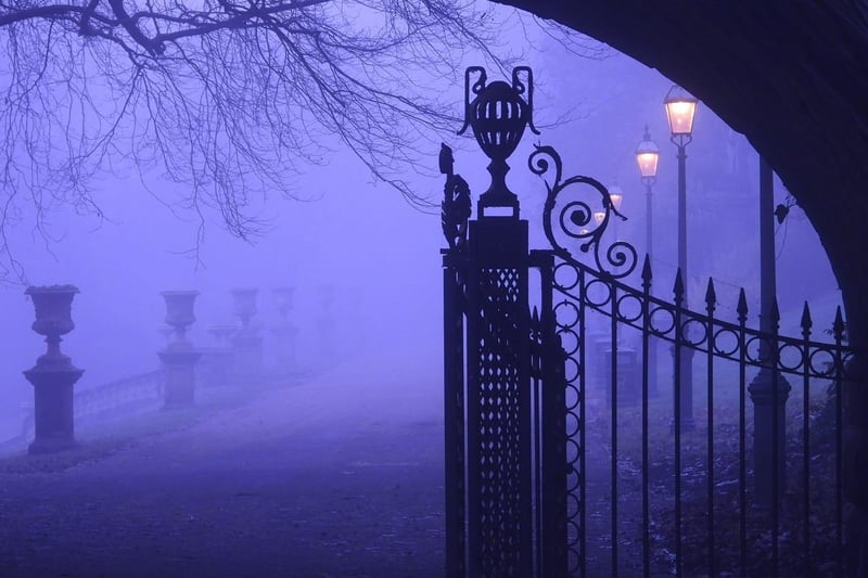 This wonderful shot of a foggy Avenham Park was captured by Paul Gray and received 408 likes - the most of any photo submitted to the club this year.