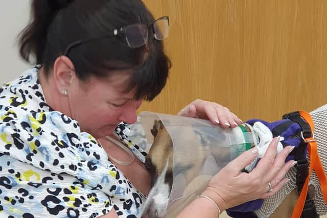 Carol Tucker comforting Skyla after her surgery.