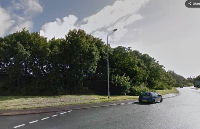 The trees that used to line the roundabout junction of Eastway and D'Urton Lane - and which had been proposed to remain when the warehouses were given planning permission (image: Google)