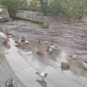 Storm Babet has destroyed homes and claimed three lives