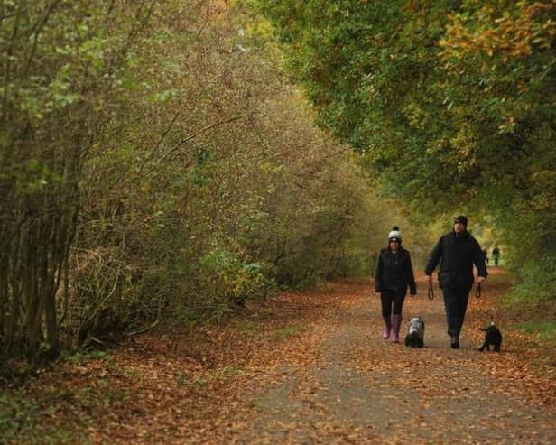 Cuerden Valley Park is 650 acres of greenery for you to explore, discover and relax in, with the River Lostock meandering through. It is close to junction 29 of the M6, between Preston and Chorley and wonderful for walks