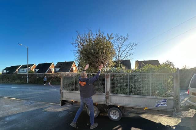Declan gets to work recycling Christmas trees from local homes to bolster local coastal defences. Photo: Rosemere Cancer Foundation