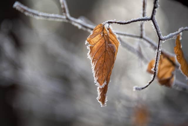 Gritters will be deployed as freezing temperatures continue to sweep across Lancashire (Credit: Krivec Ales)