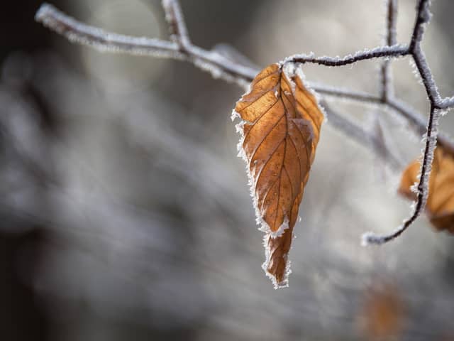 Liverpool Met Office weather forecast as ice warning in force.
