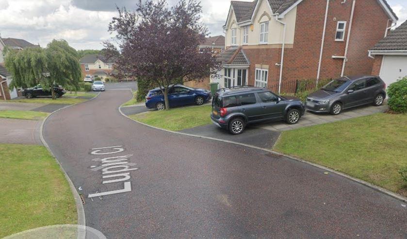 Chorley planning: latest applications including whether or not to remove a protected tree and the installation of a ramp - Vimarsana News