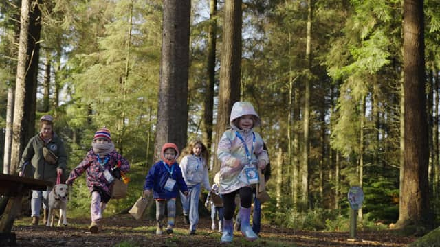 A group of children enjoying a Forestry England Room on the Broom trail