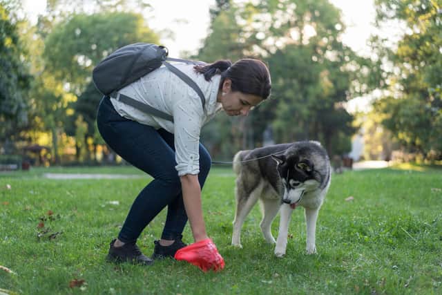 Woman picking dog poo in plastic bag
