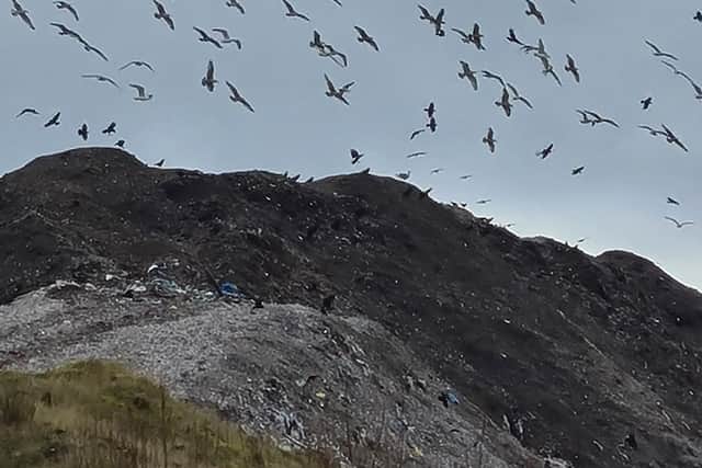 The waste mound at the Clayton Hall landfill site will have to be lowered (image: Mark Clifford)