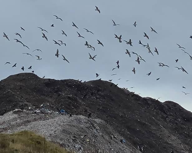 The waste mound at the Clayton Hall landfill site will have to be lowered (image: Mark Clifford)