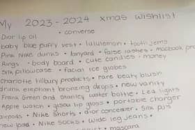People have been left open-mouthed after viewing a 13-year-old's £3,000 Christmas list