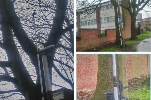 The mystery devices appeared atop 20ft poles fitted to streetlights around Preston