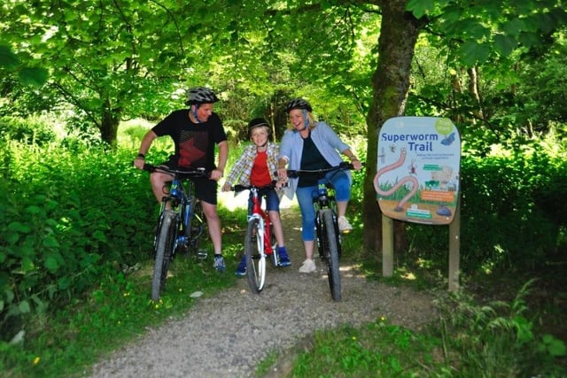 Follow a trail in Gisburn Forest on foot or bike