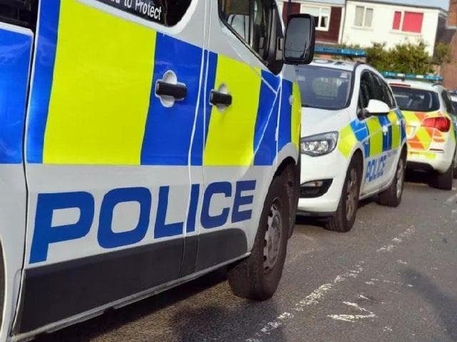 Road rage van driver arrested after terrified motorist was threatened with weapon
