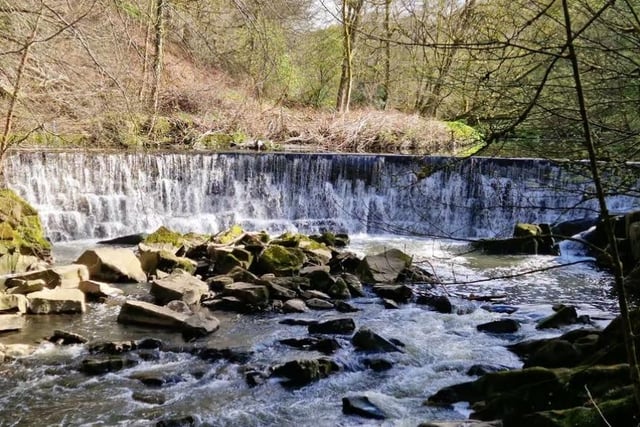 Enjoy a woodland walk, along the River Darwen. You will discover beautiful waterfalls as well as plenty of picnic spots. 
To find this hidden treasure, head towards Hoghton Village Hall, turn onto Chapel Lane. Park up and walk down to Long Barn Brow, passing to go right after Hoghton Barn. Following the path you will reach the start of the trail. Please be mindful of the residents as this is a residential area.