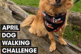 Join the pack: Dog owners are being urged to walk 60 miles with their four-legged friends over the course of April to raise money for Stand Up To Cancer’s life-saving research. Sign up now at su2c.org.uk/walkies