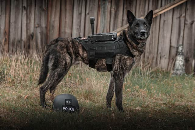 Retired police dog Zeus